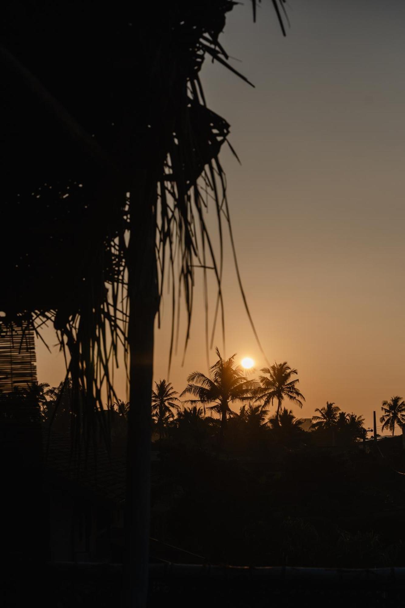 Gaia Ocean Surf Yoga Hostel Ahangama Kültér fotó
