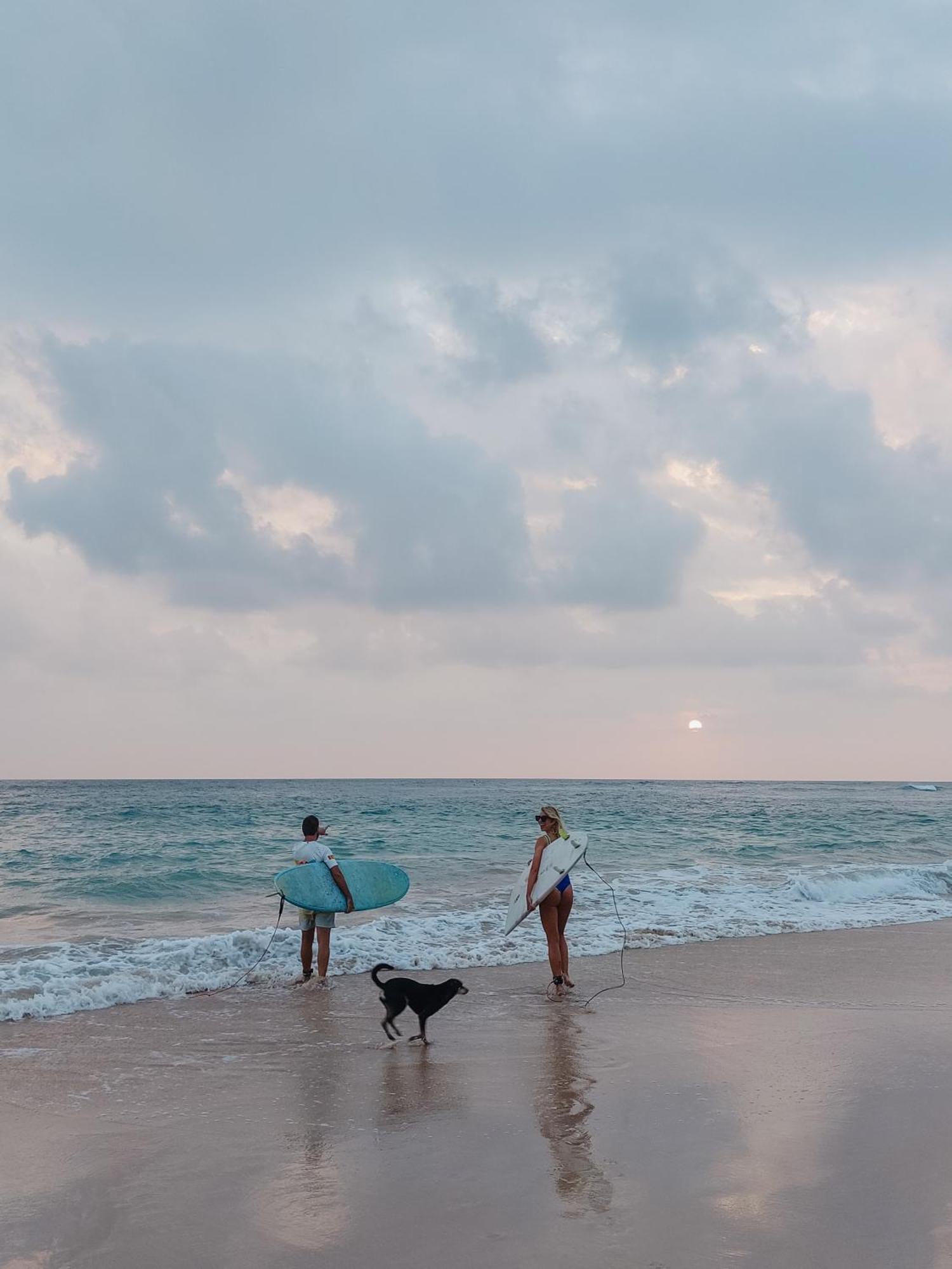 Gaia Ocean Surf Yoga Hostel Ahangama Kültér fotó