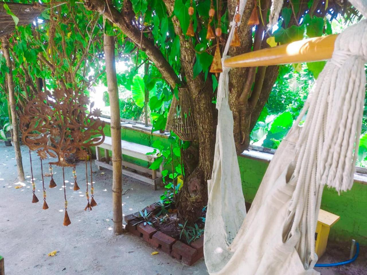 Gaia Ocean Surf Yoga Hostel Ahangama Kültér fotó